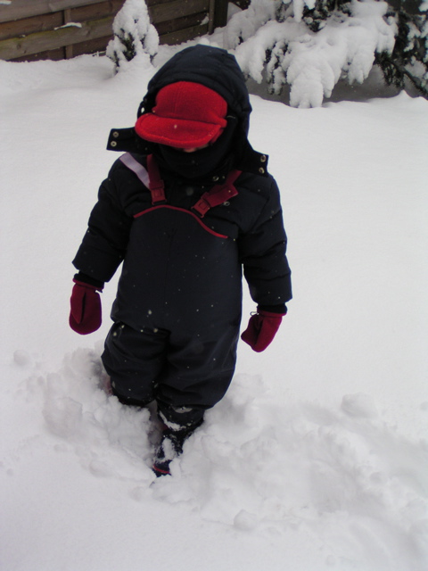 Wed, 2. Mar 2005 11:19